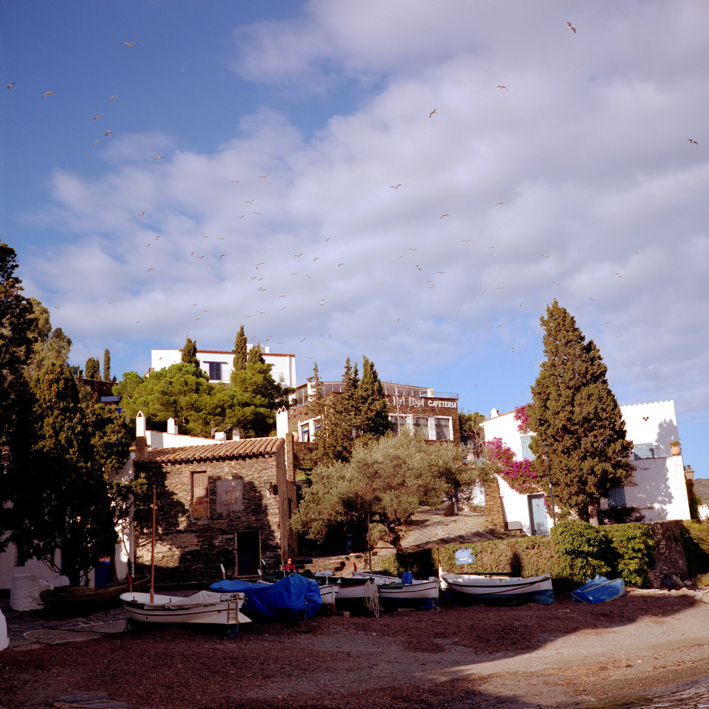 Port Lliga