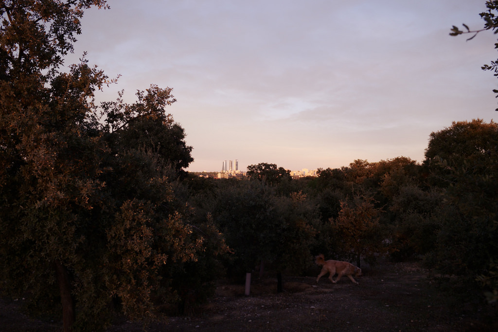 Madrid, Casa de Campo