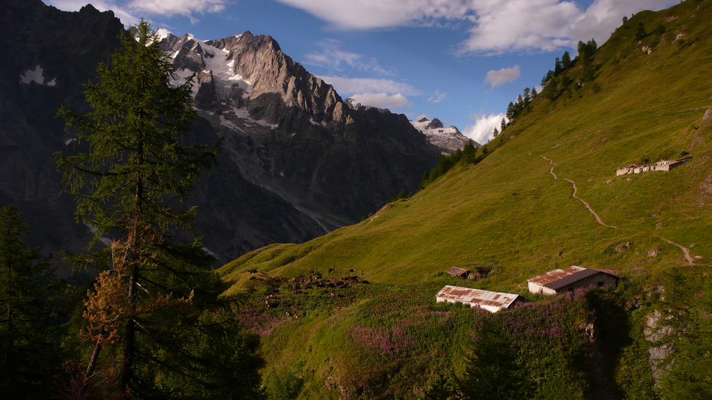 ferme