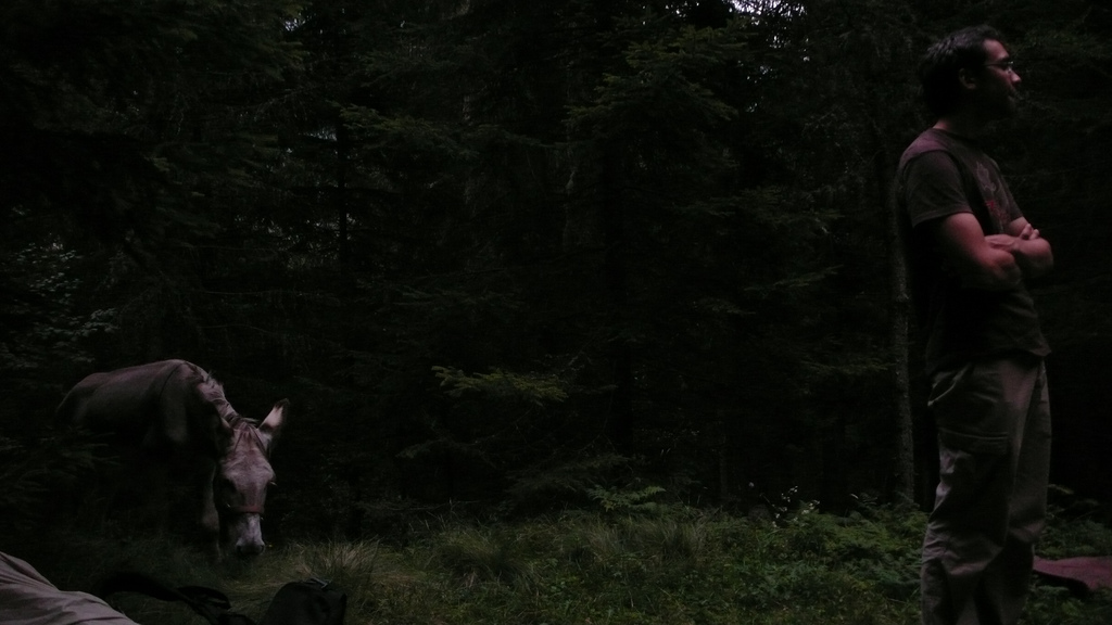 un coin dans la foret pour camper avant l'orage