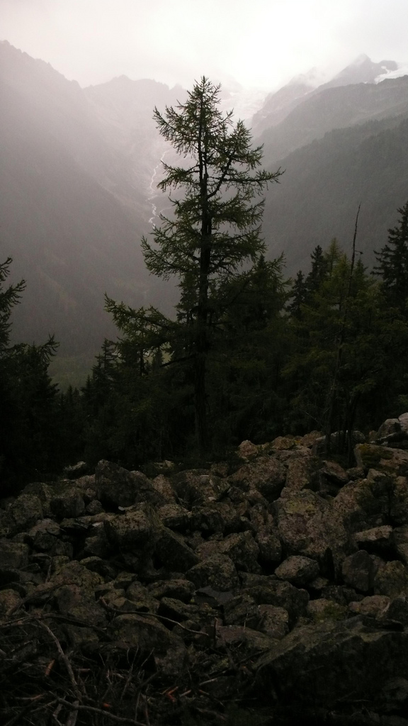 montée dans la foret sous la pluie le soir