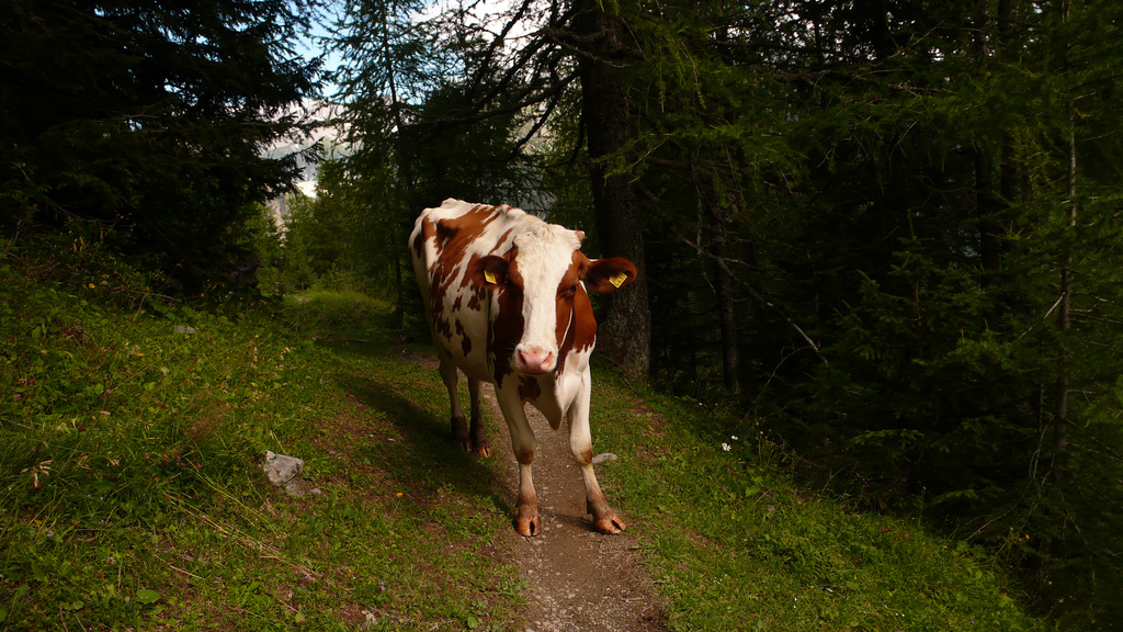 interdit de passer ?