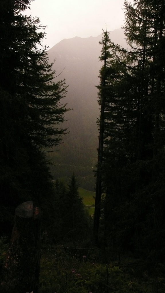 montée dans la foret sous la pluie le soir