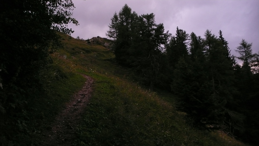 mont&eacute;e dans la foret sous la pluie le soir