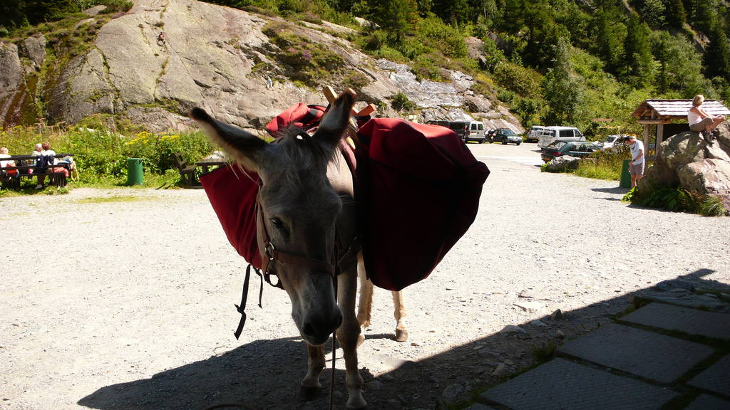 bientot arriv&eacute;s