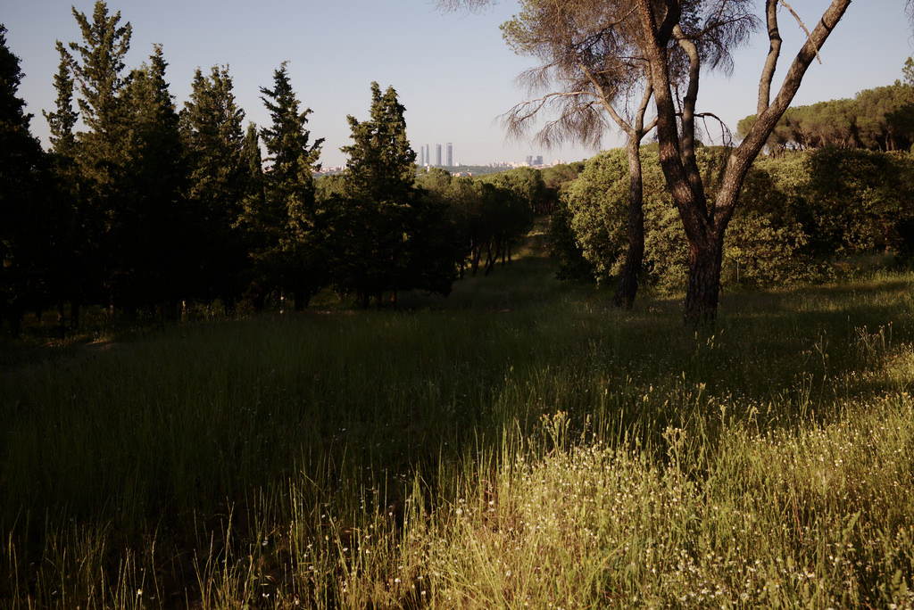 Madrid, Casa de Campo