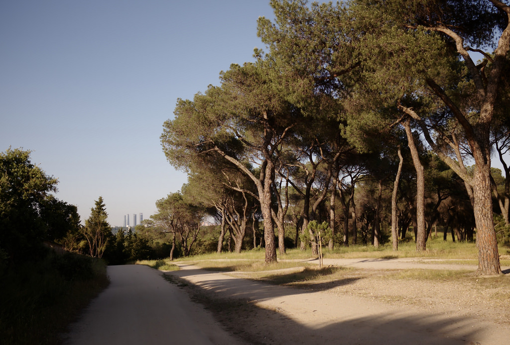 Madrid, Casa de Campo