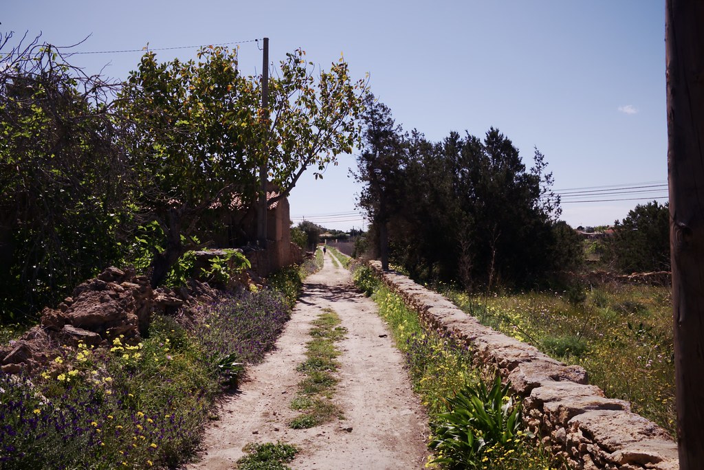 Camino