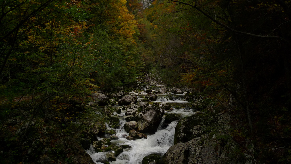 riviere