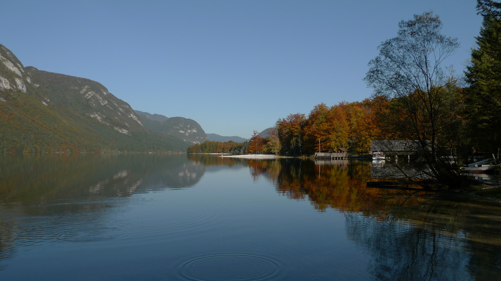 lac