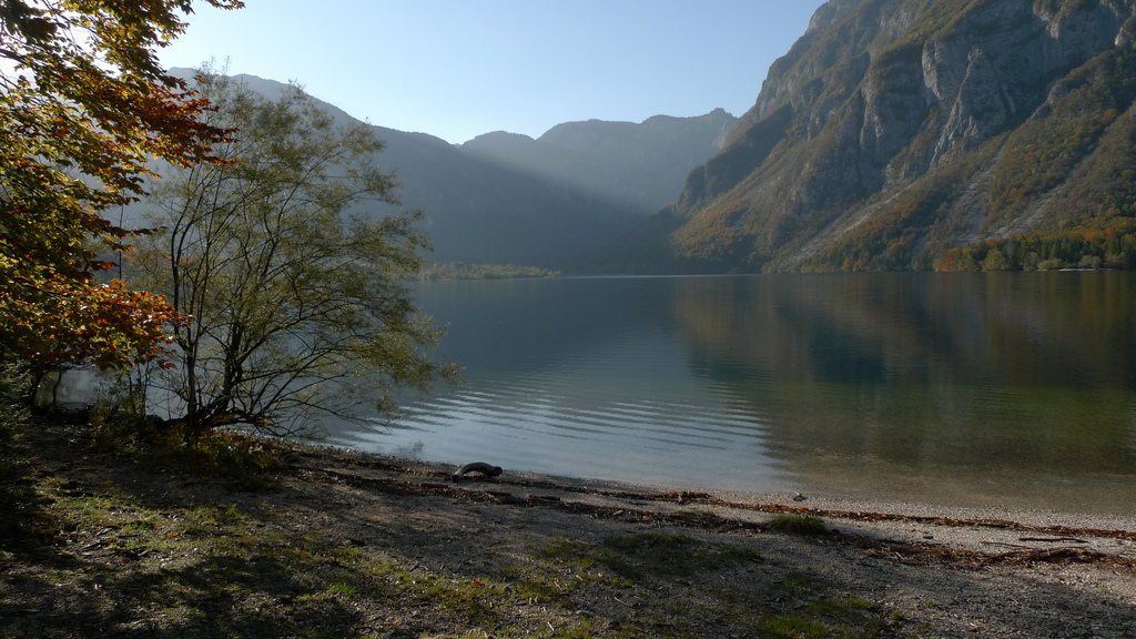 lac