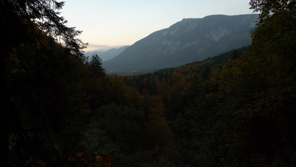 foret