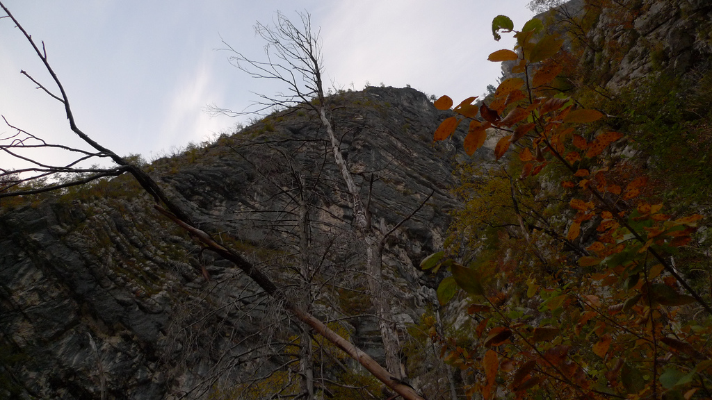 falaise