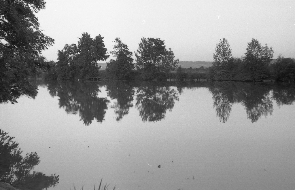Reflection