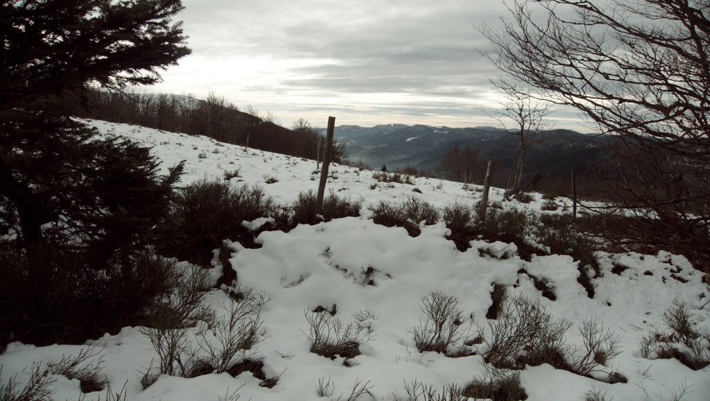 neige