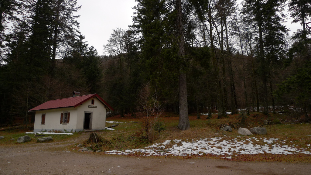 foret