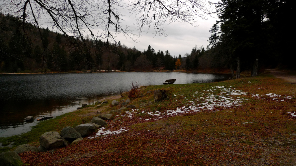 lac