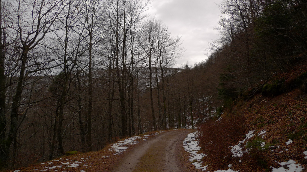 chemin