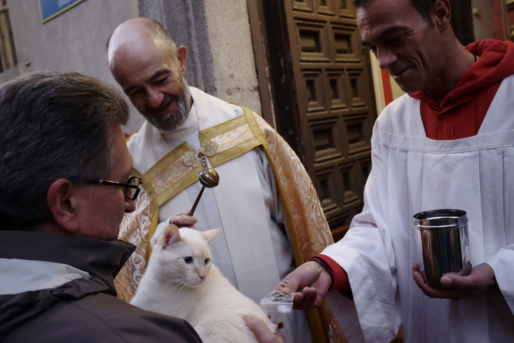 Fiestas de San Ant&oacute;n
