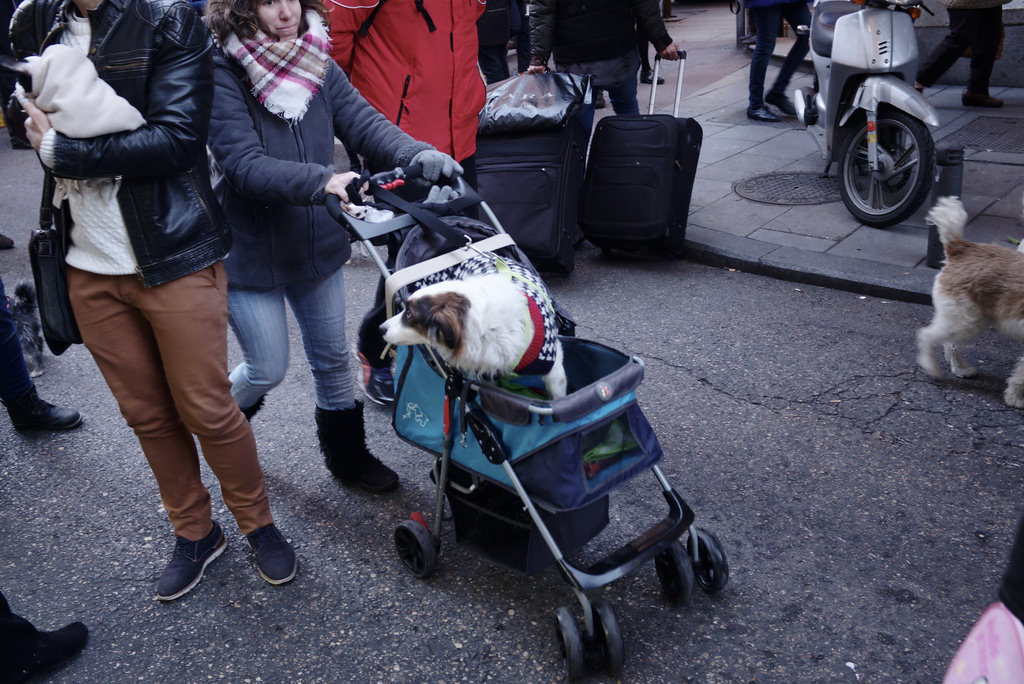 Fiestas de San Ant&oacute;n