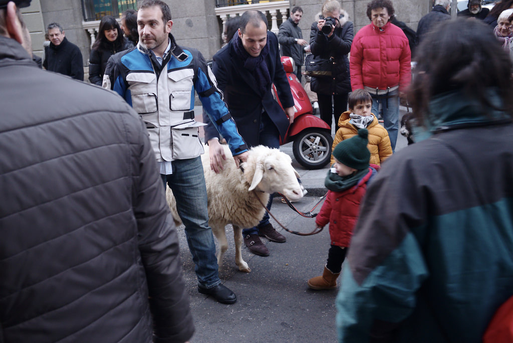 Fiestas de San Ant&oacute;n