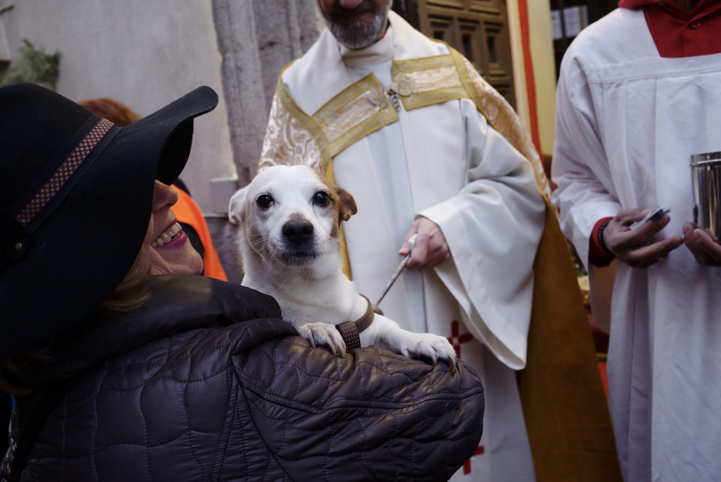 Fiestas de San Ant&oacute;n