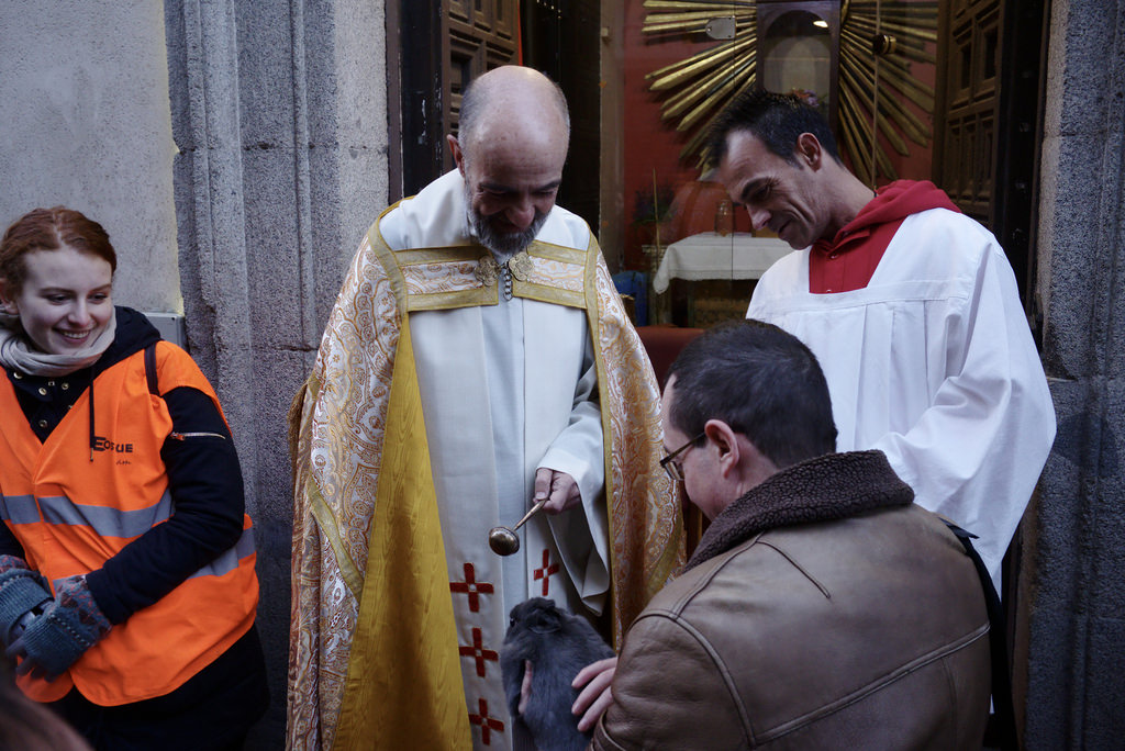 Fiestas de San Ant&oacute;n