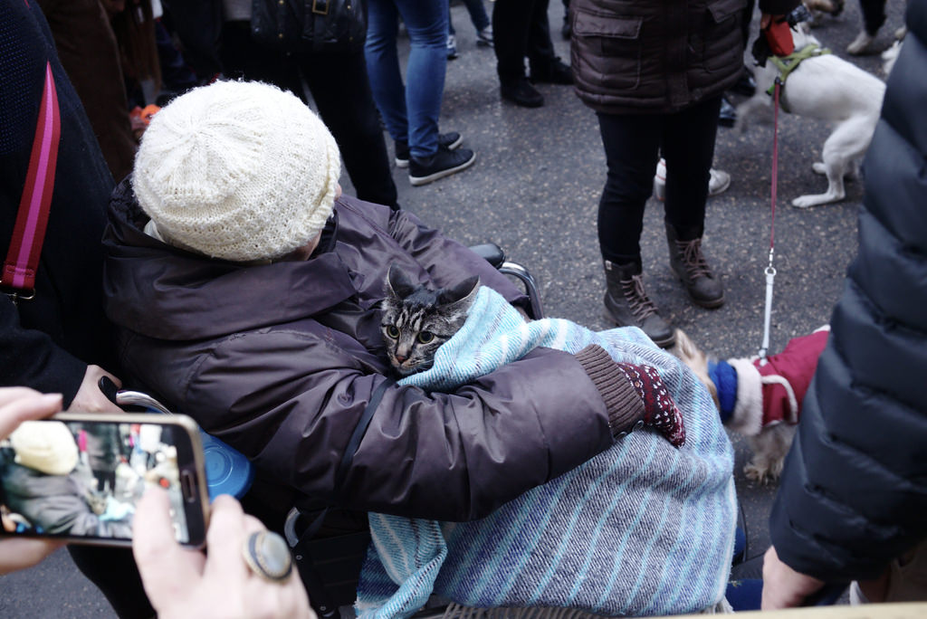 Fiestas de San Ant&oacute;n