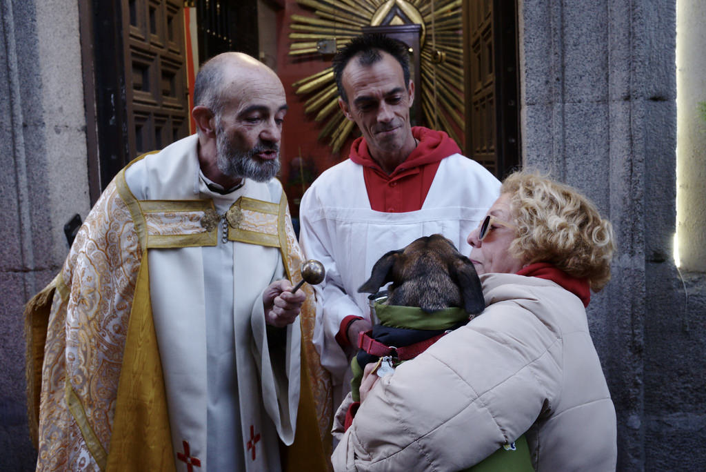 Fiestas de San Ant&oacute;n