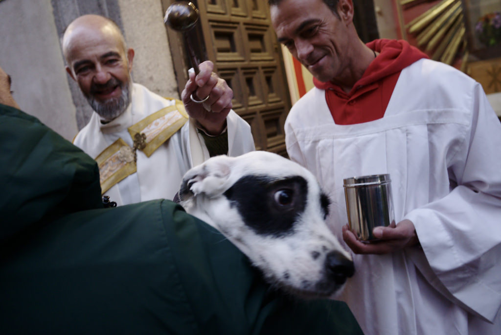 Fiestas de San Ant&oacute;n