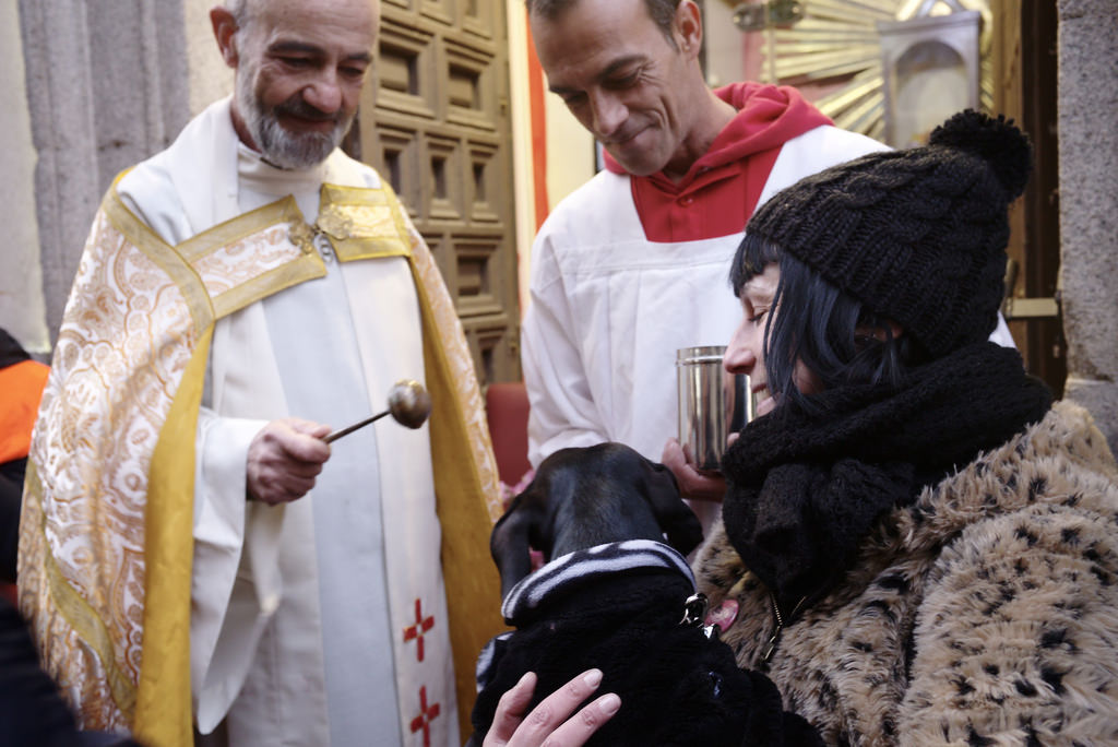 Fiestas de San Ant&oacute;n