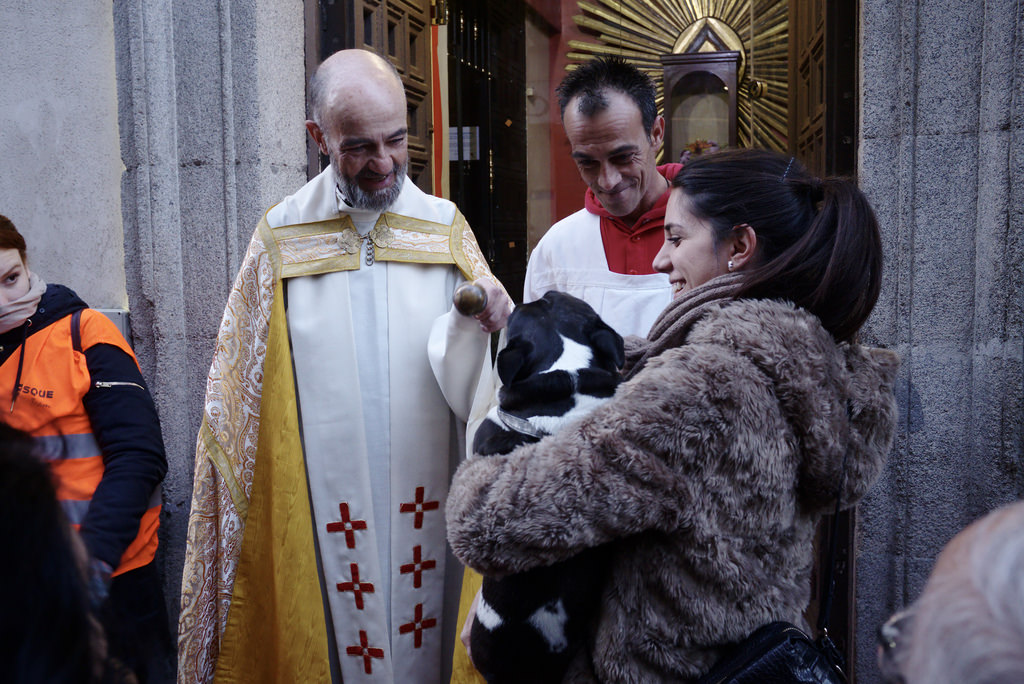 Fiestas de San Ant&oacute;n
