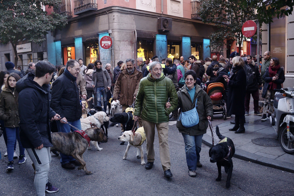 Fiestas de San Ant&oacute;n