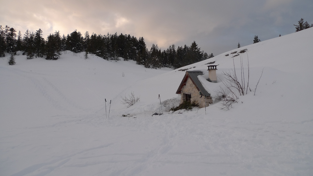 refuge