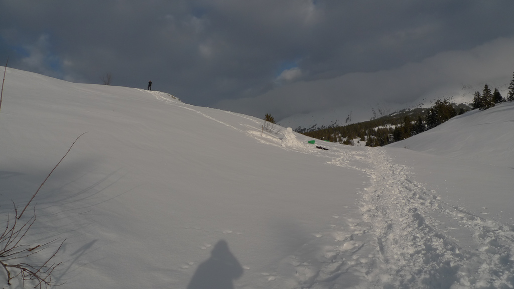 neige