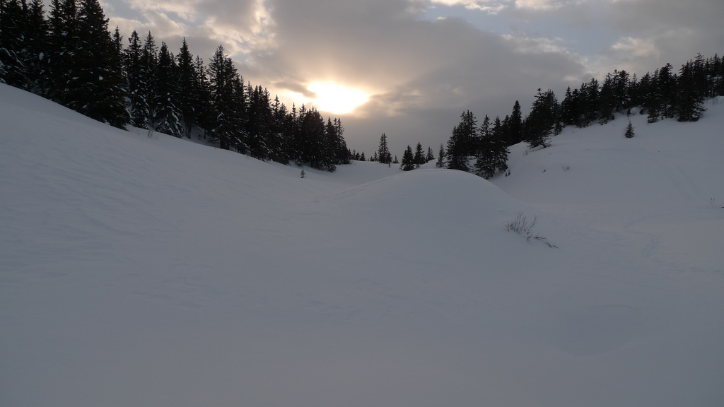neige