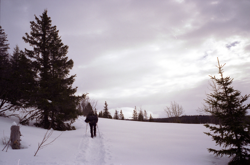 neige dans le vercors