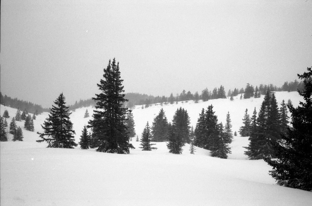 neige