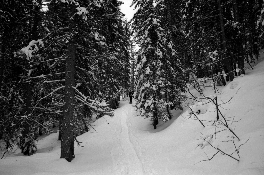 chemin