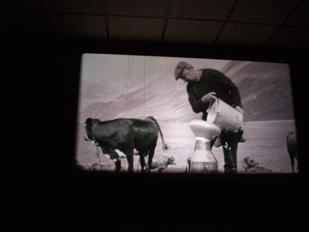 la projection