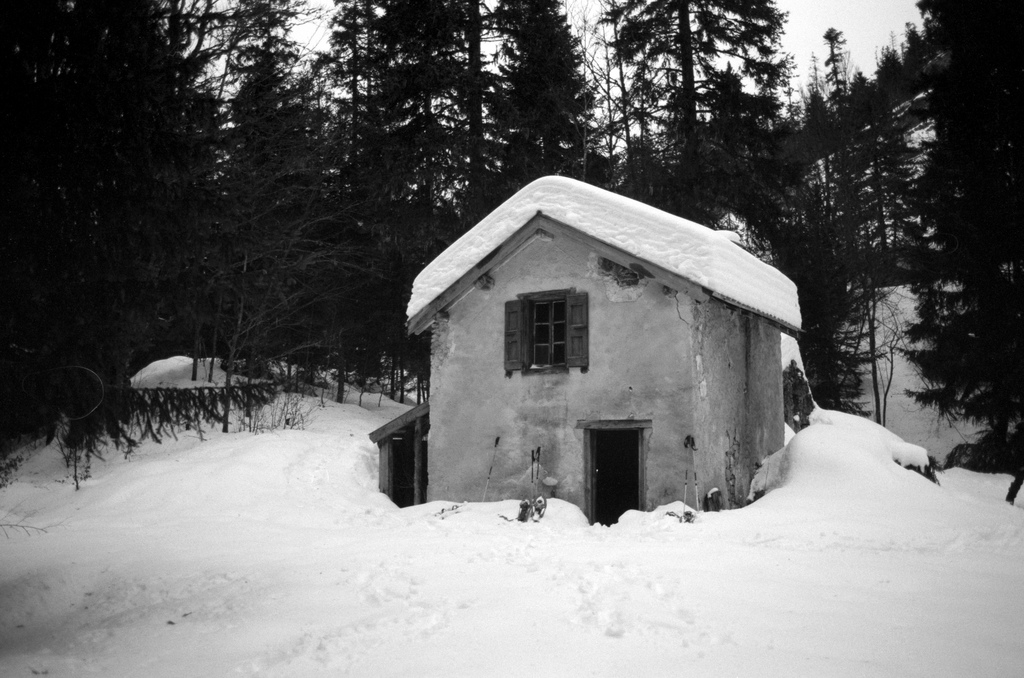 Baraque forestière des Bachassons