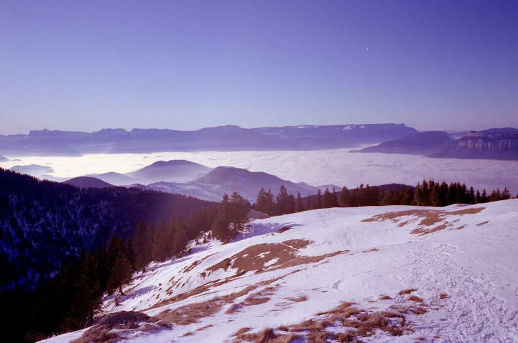 belledonne