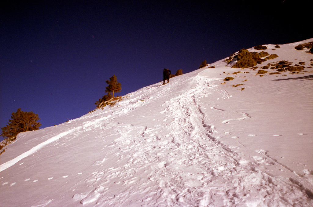 neige