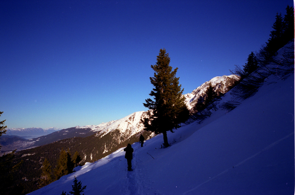 belledonne
