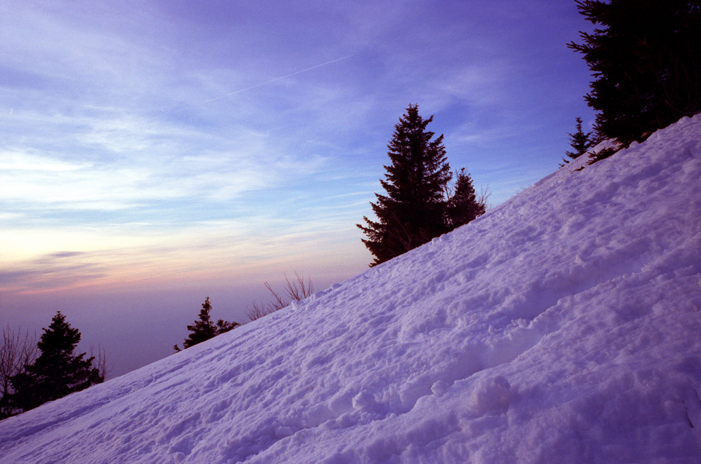 soir dans la chartreuse