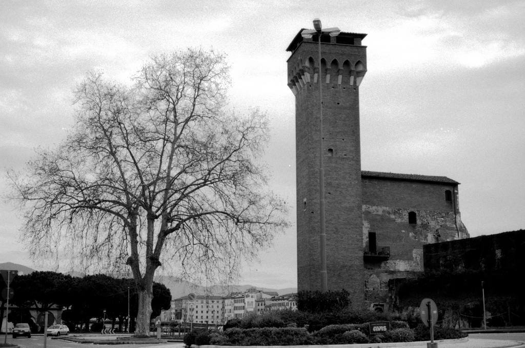 pisa