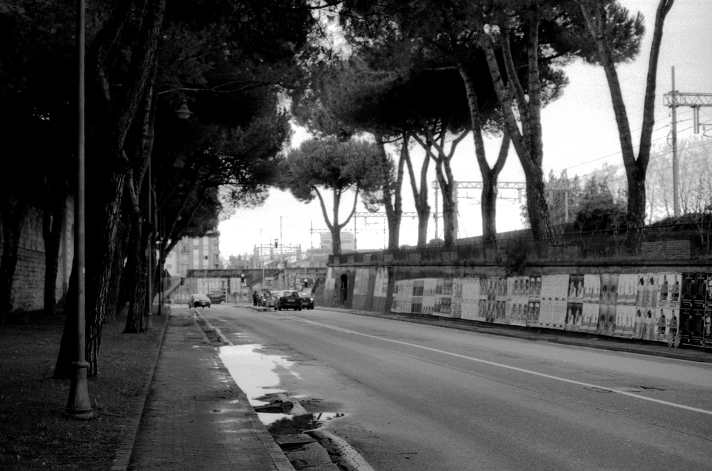 pisa