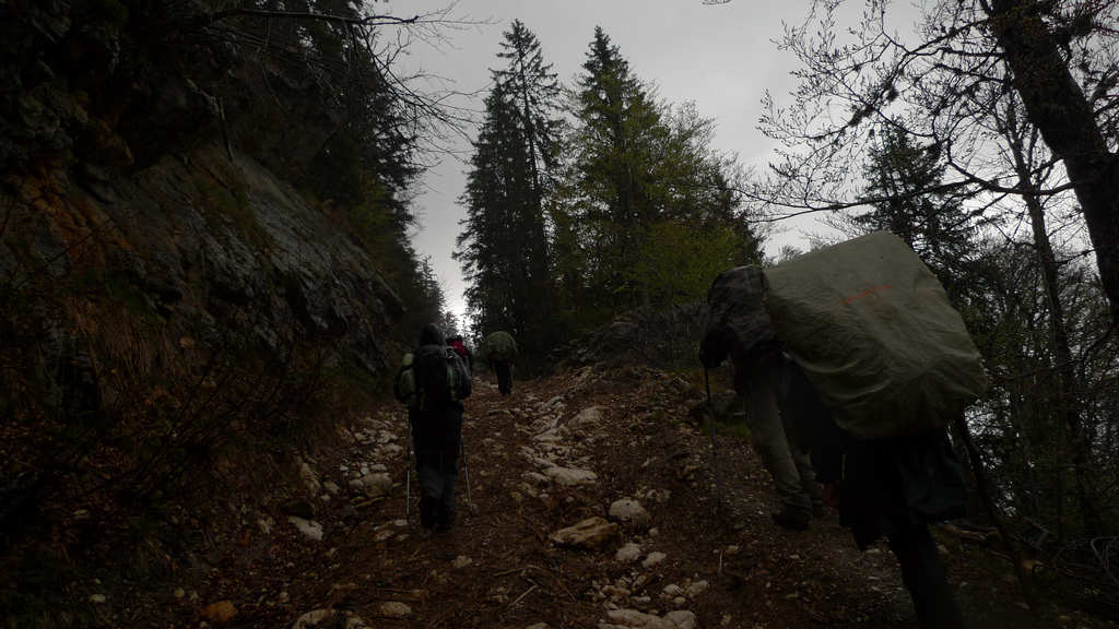 montee dans la foret