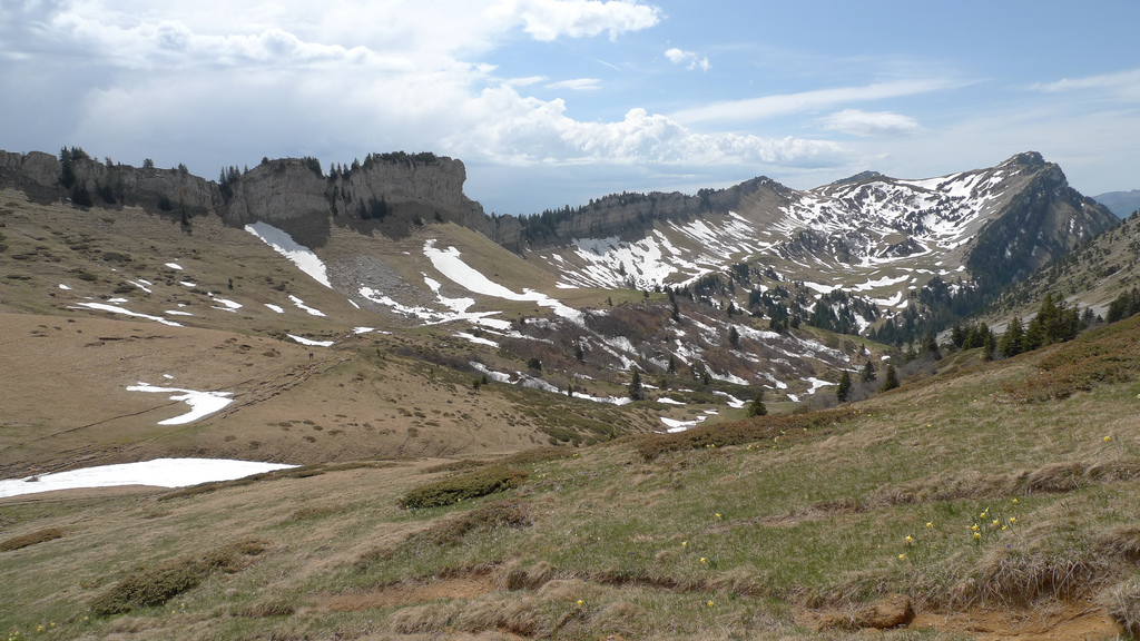 la chartreuse