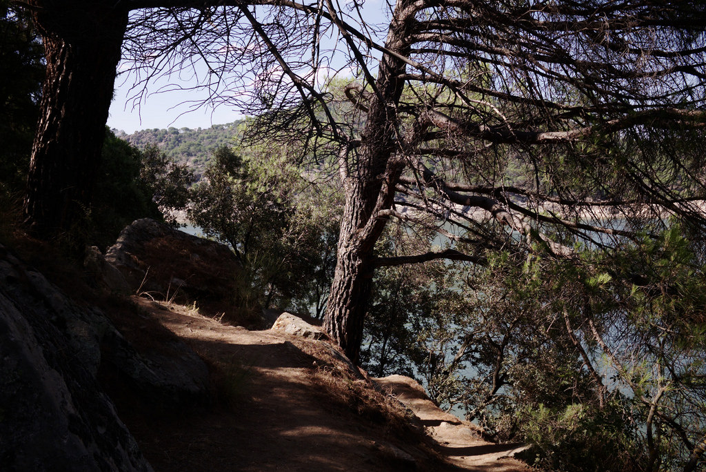 Pantano de San Juan